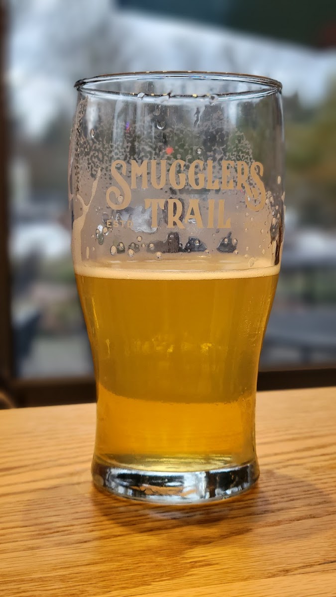 Trails End (Smugglers Trail Fort Langley) - Photo 8