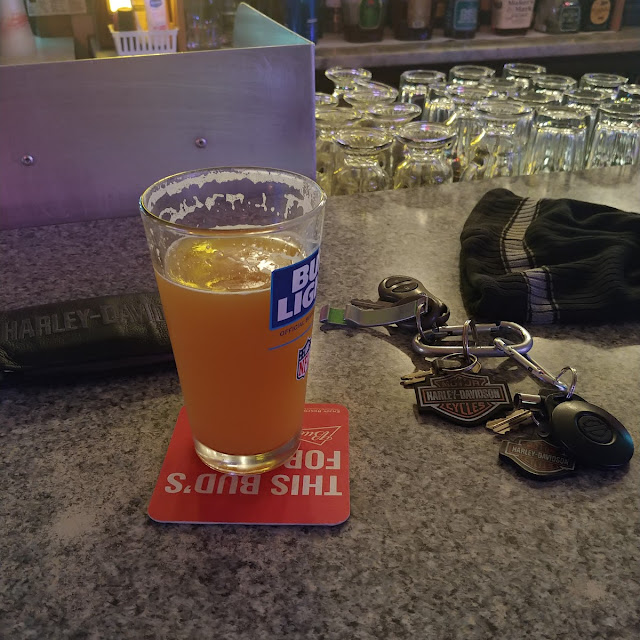 Space Dust IPA