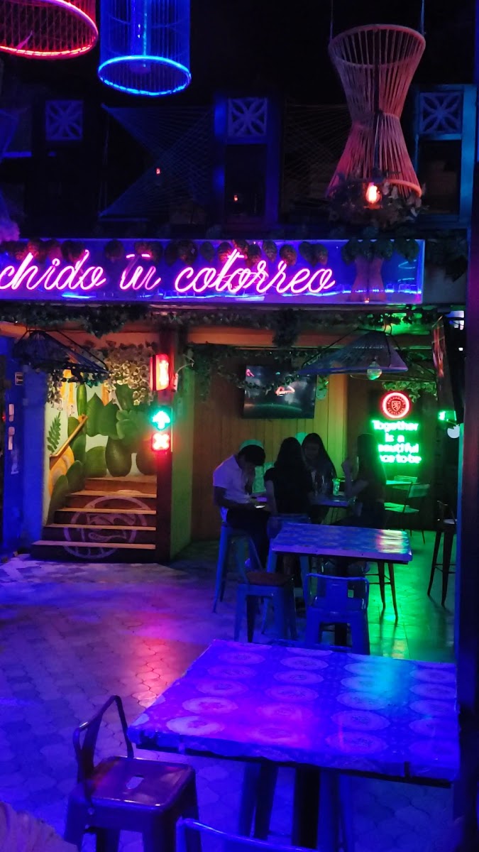 Cotorritos Mazatlan - Photo 1