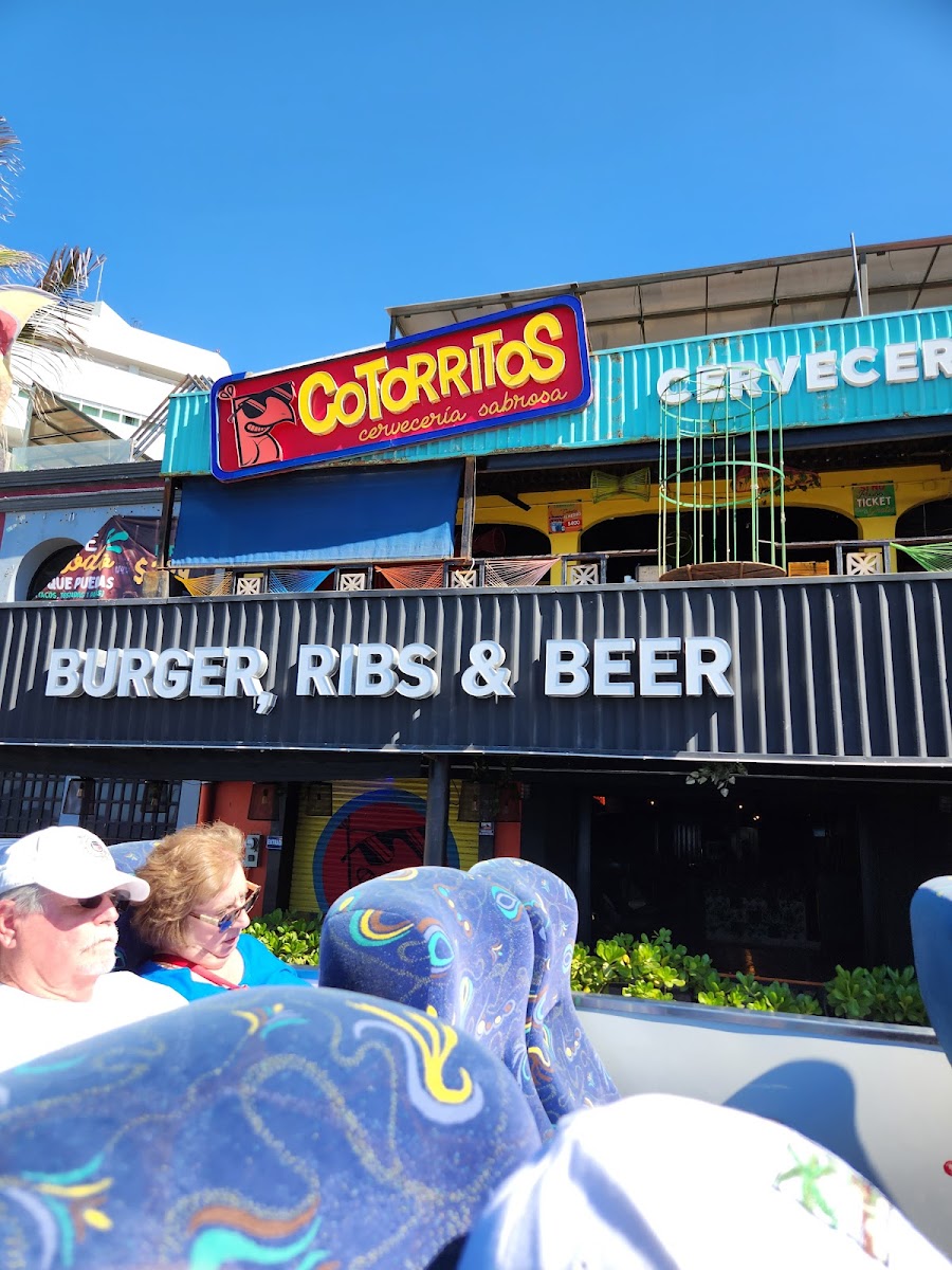 Cotorritos Mazatlan - Photo 3