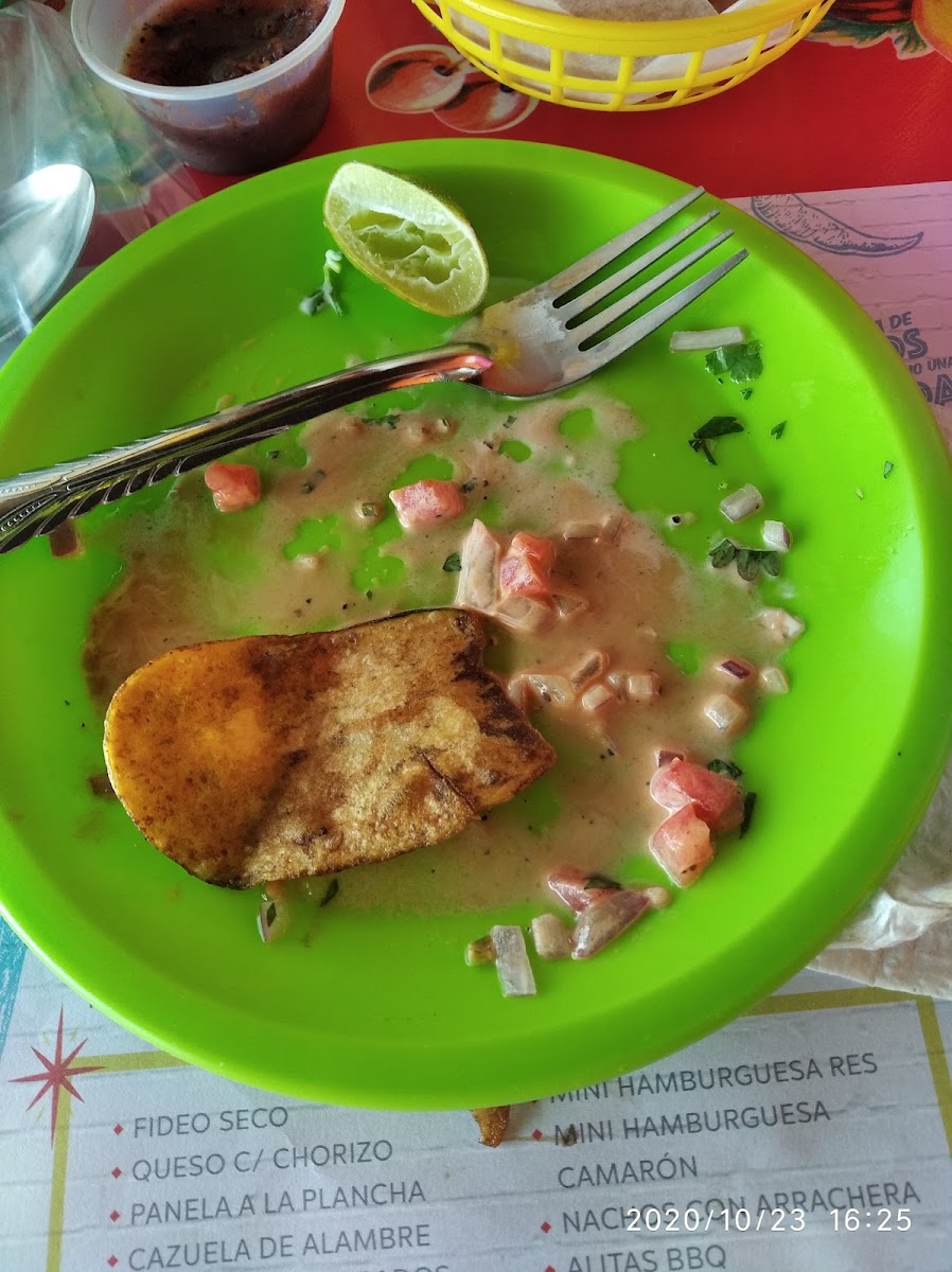 Cotorritos Mazatlan - Photo 8