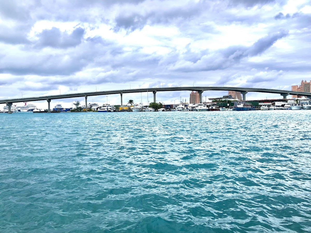 Mckenzie's Fresh Fish & Conch - Photo 9