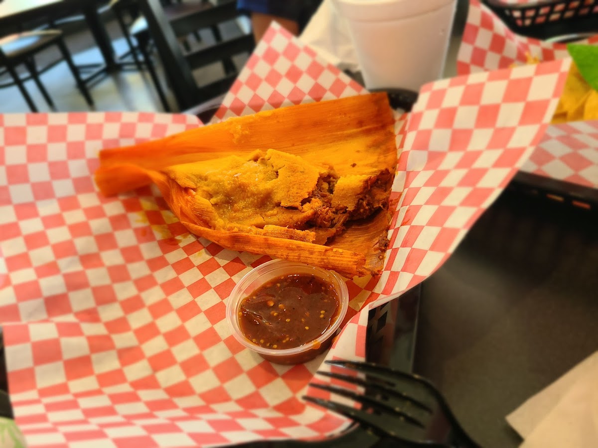 Lolis Tacos - Temple Terrace - Photo 4