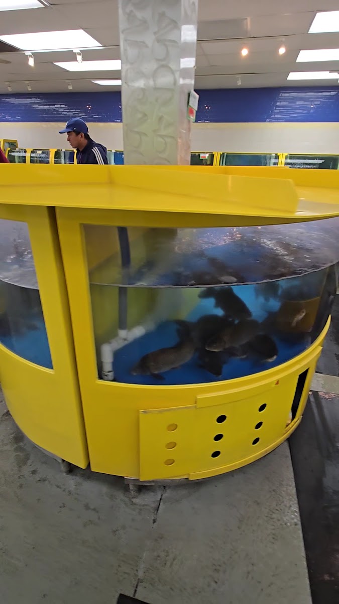 Seafood Paradise Market - Photo 1