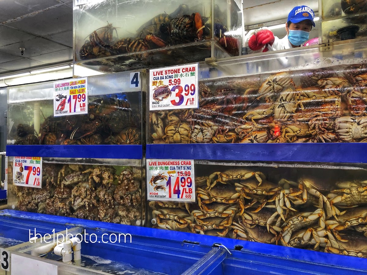 Seafood Paradise Market - Photo 2