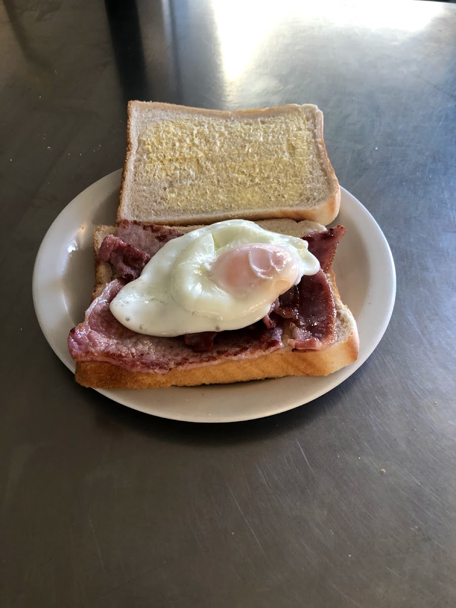 Squirrel Cafe - Photo 4