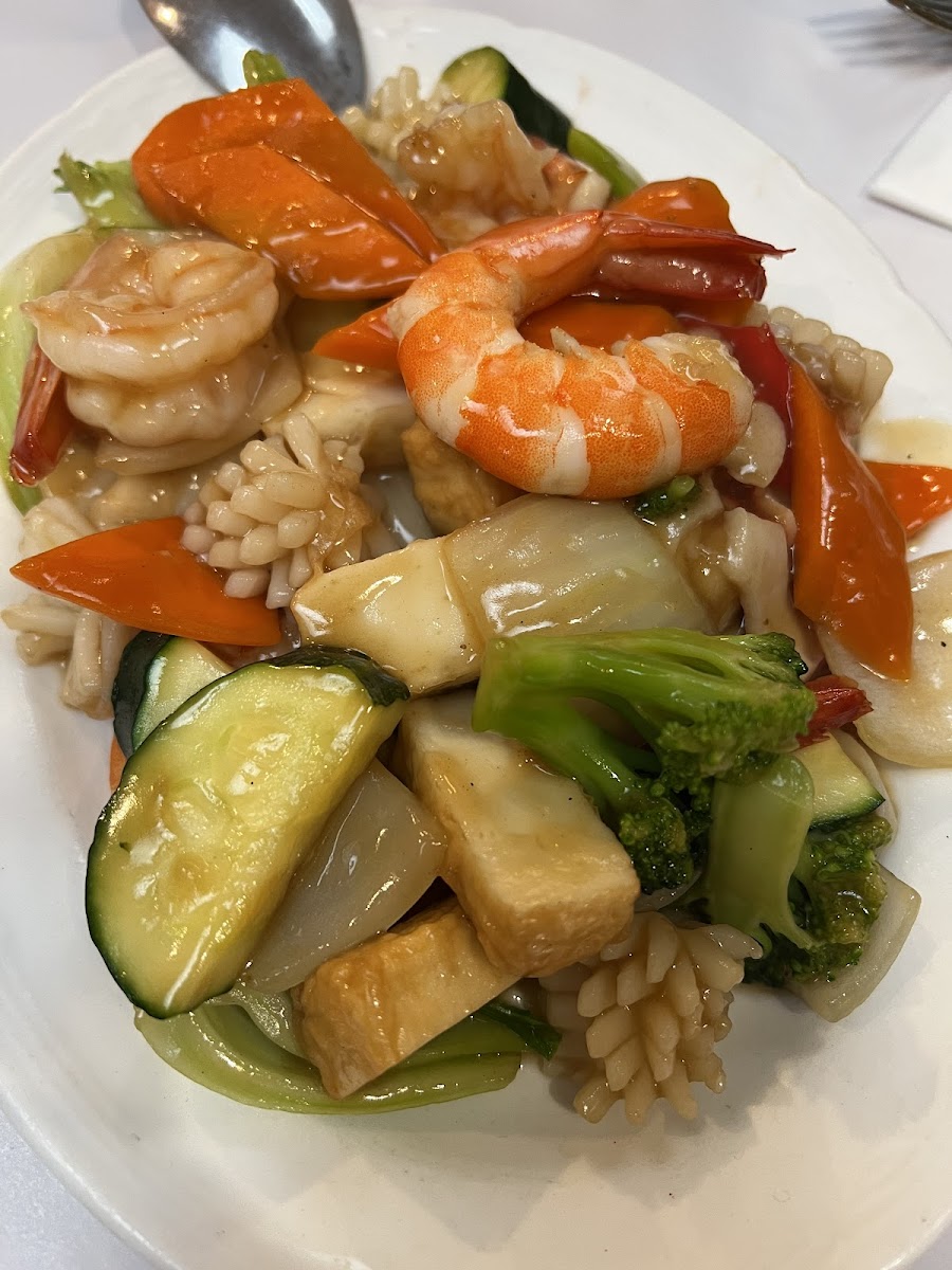 Dumpling Plaza Chinese Restaurant - Photo 1