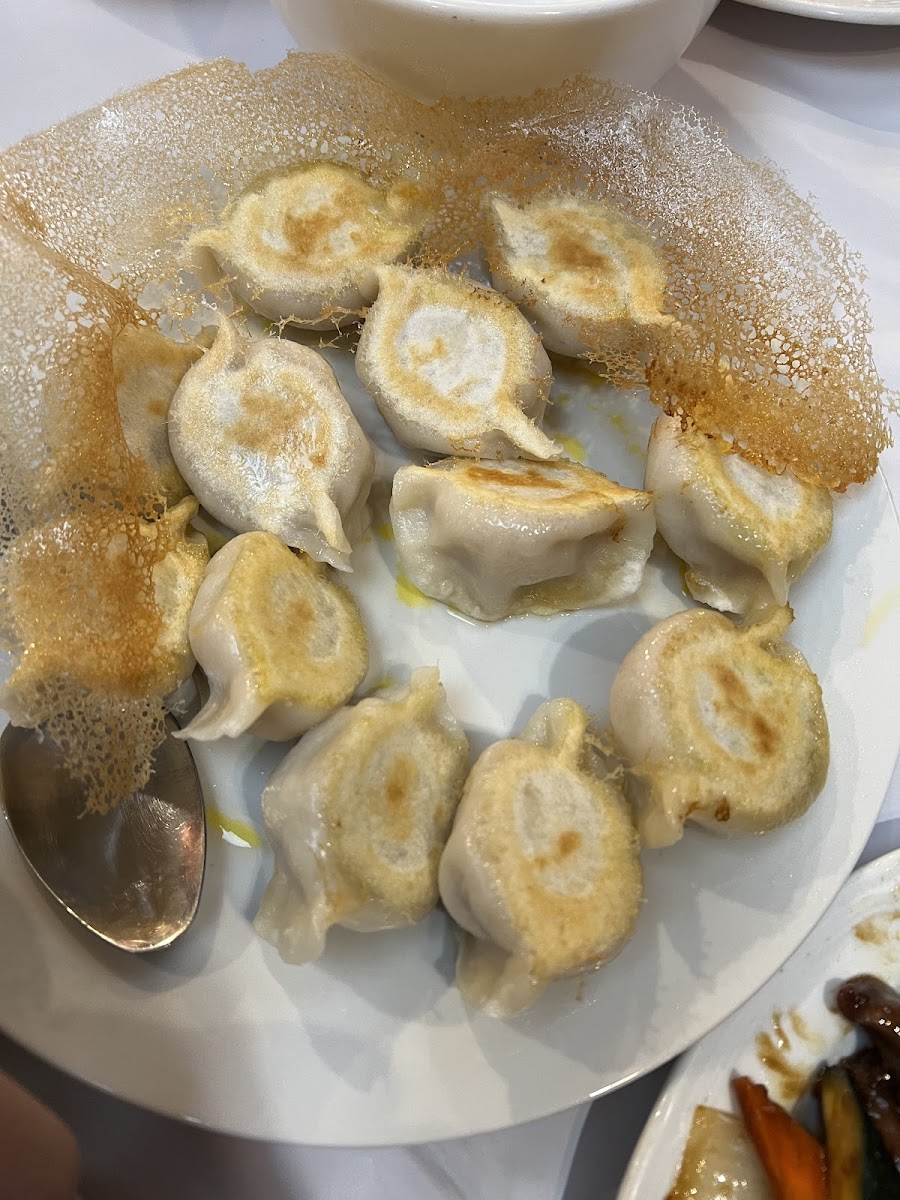 Dumpling Plaza Chinese Restaurant - Photo 2