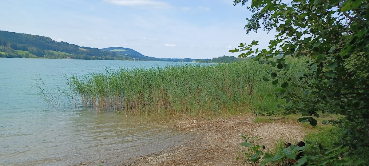 Irrsee Hafen - Photo 8