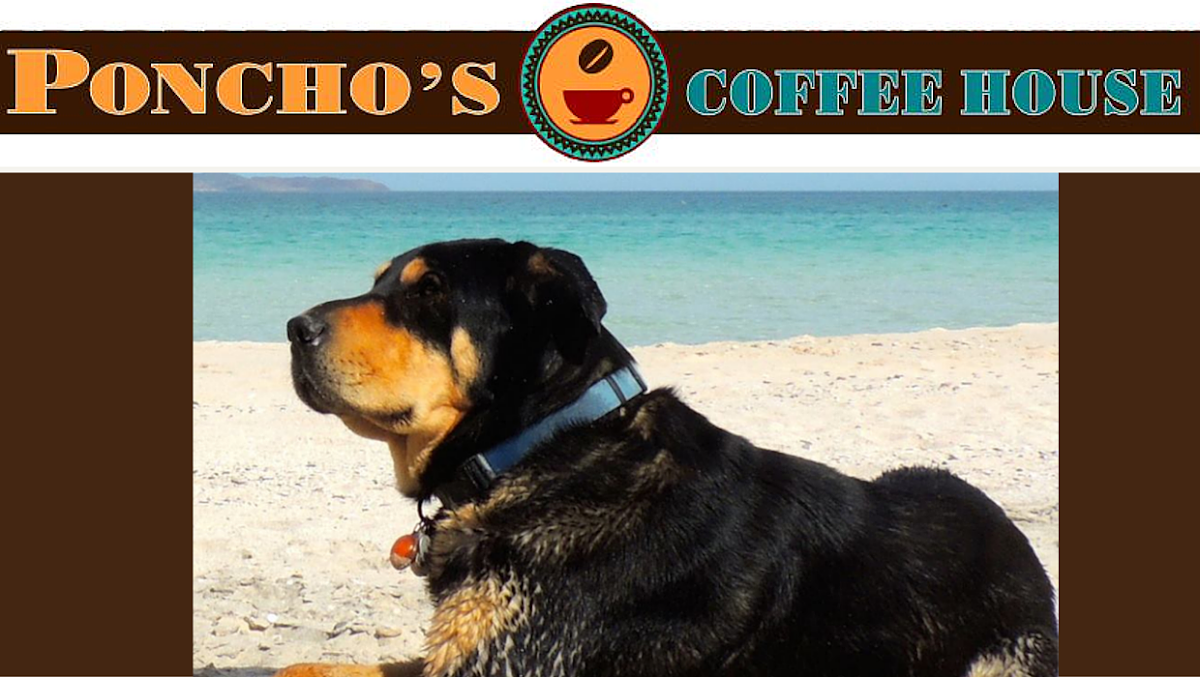 Poncho's Cafe & Catering - Photo 3