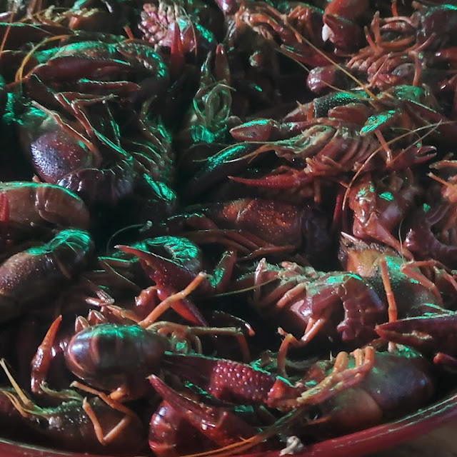 Crawfish by Bagzz of Bugzz