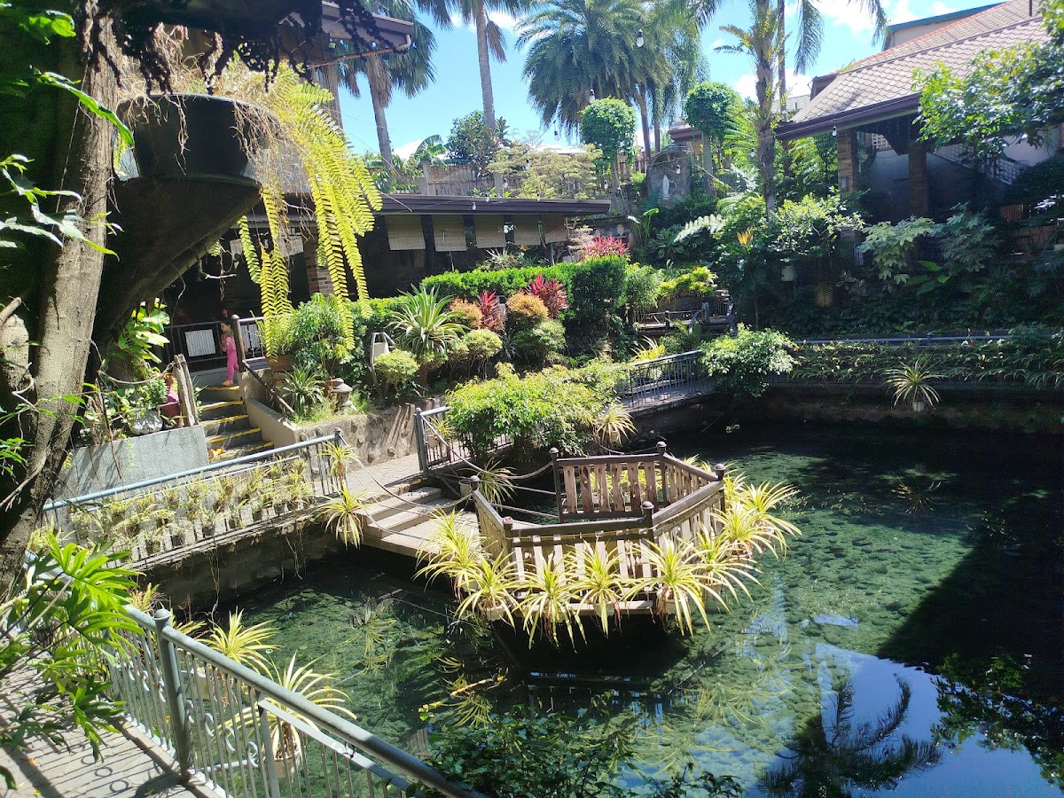 Palmeras Garden Restaurant - Photo 2