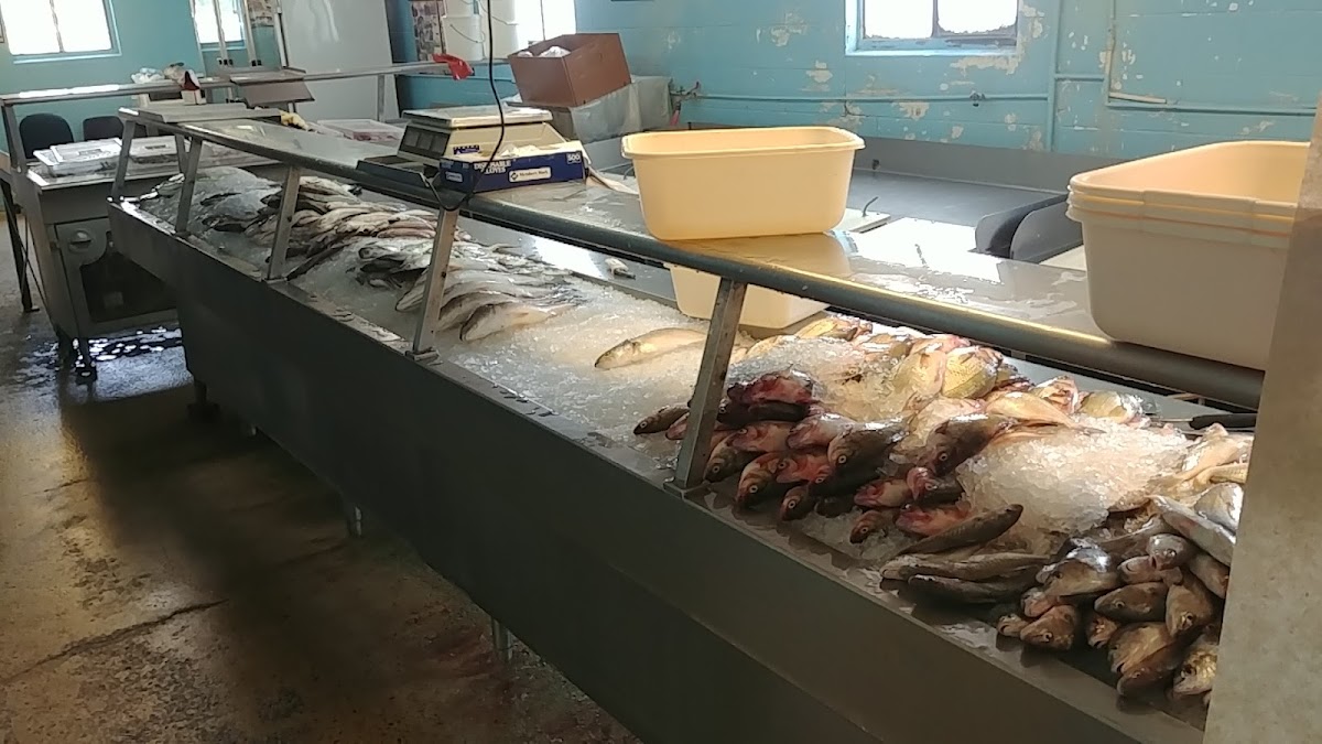 Murray L. Nixon Fishery