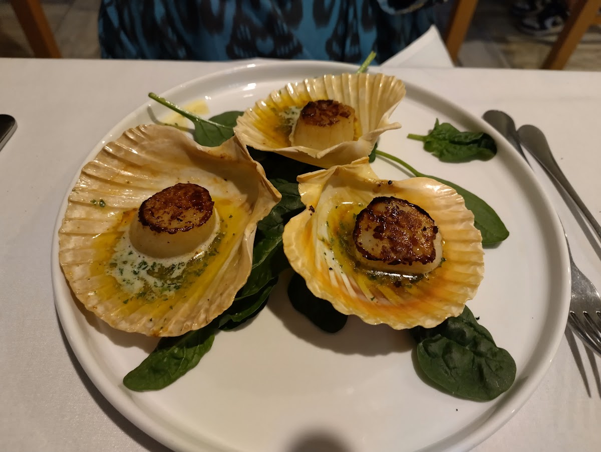 Octopii Restaurant - Photo 3