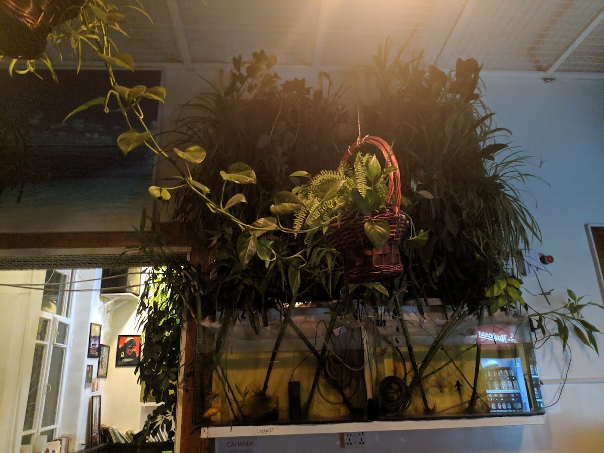The Green zone and the Reef - Photo 4