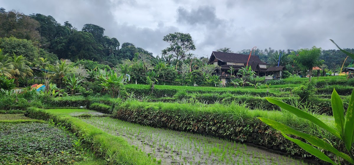 Dewata Agung Restaurant TirtaGangga - Photo 7