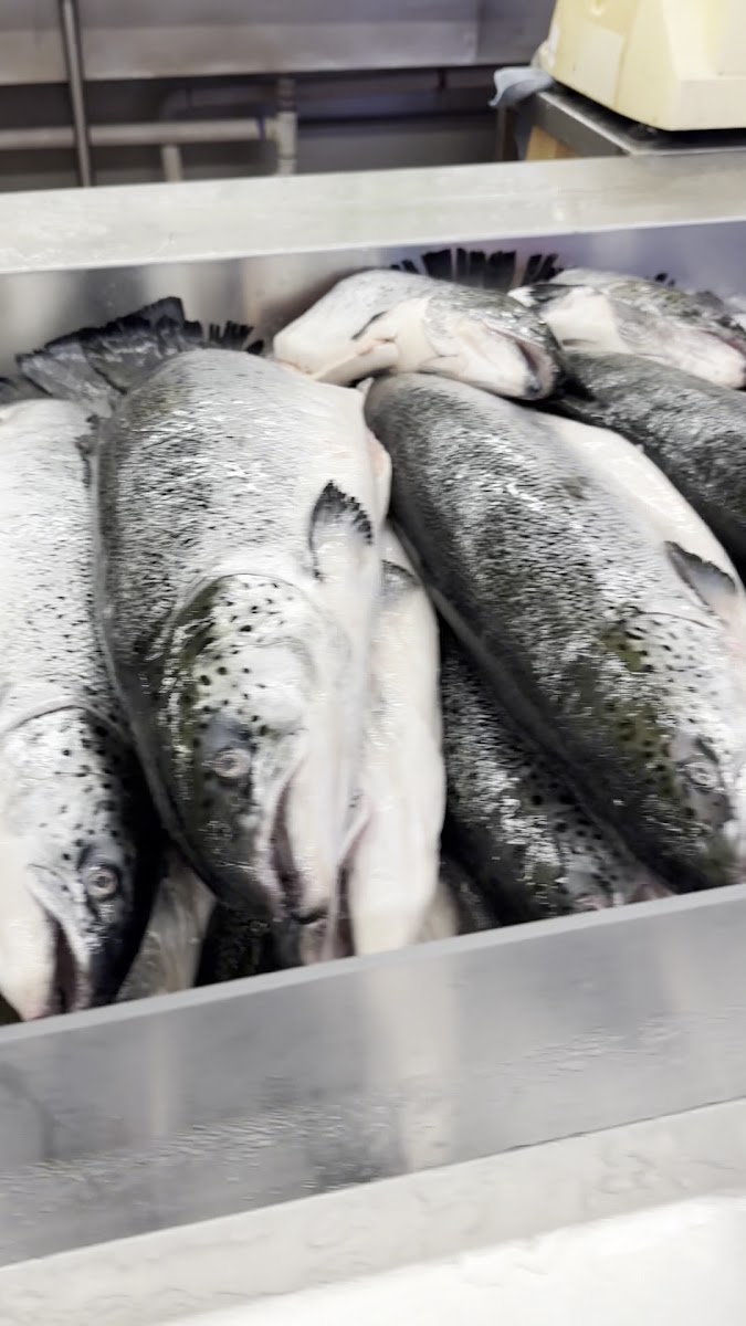 Baybrook's Fresh Seafood - Photo 1