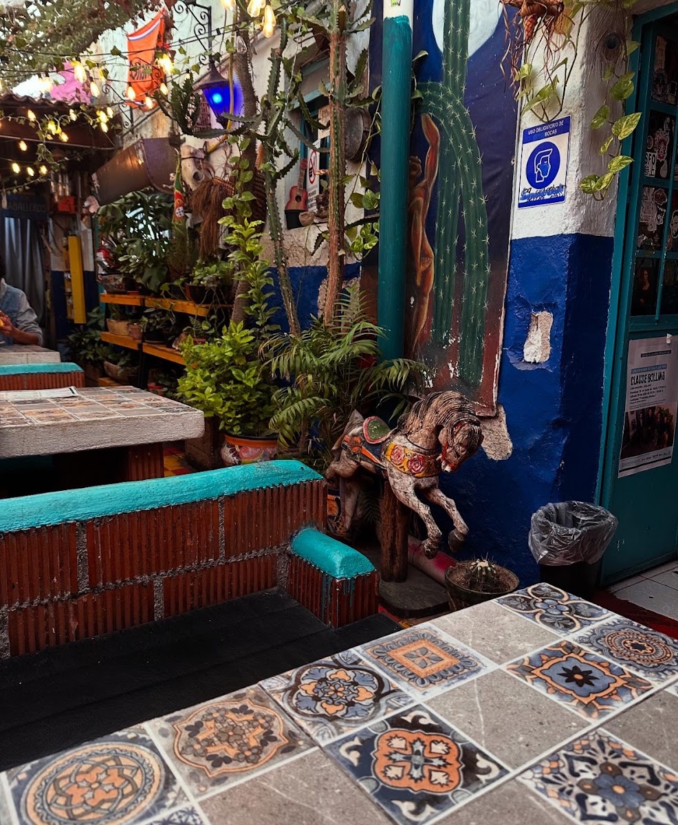 La Biznaga Arte y Cafe