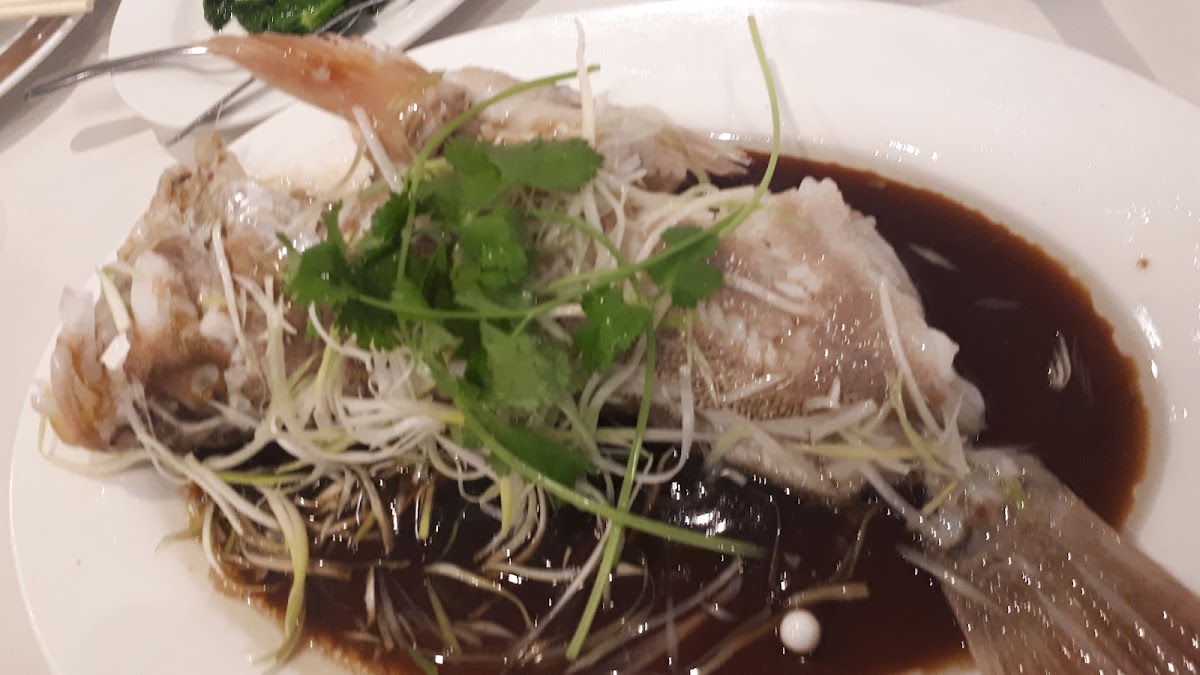 Kirin Restaurant - Photo 7