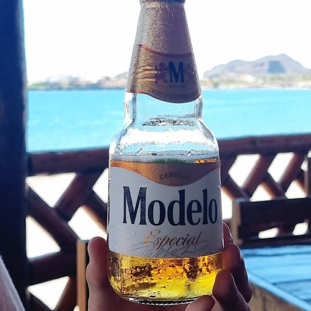 Modelo Special Y Negra