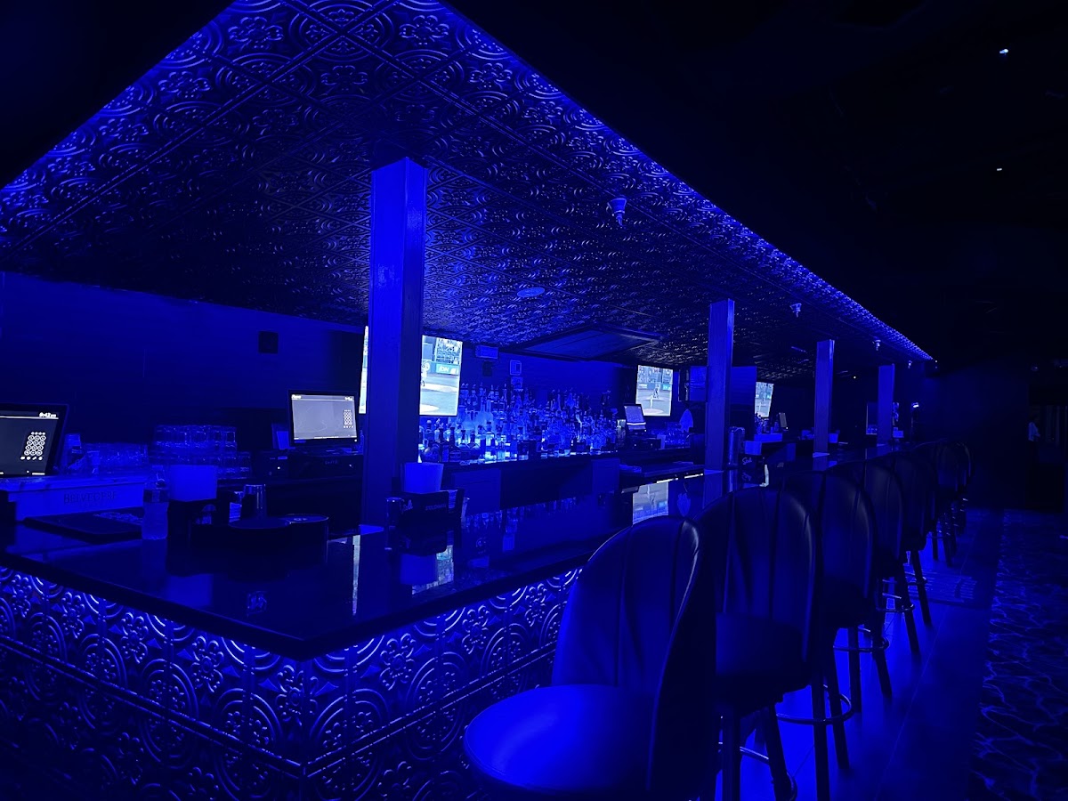 Vivid Gentlemen's Club