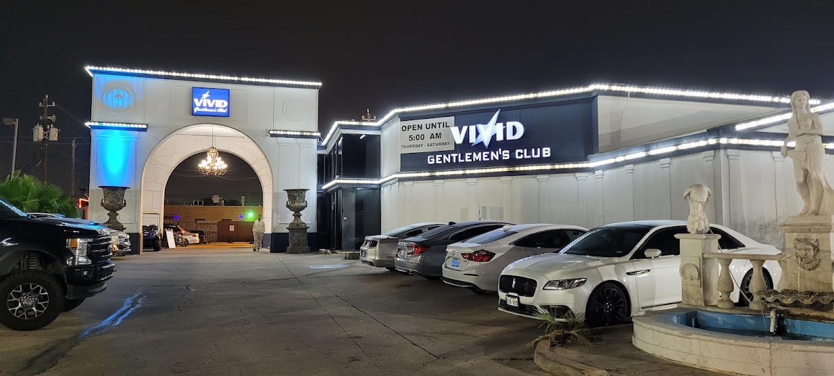 Vivid Gentlemen's Club - Photo 3