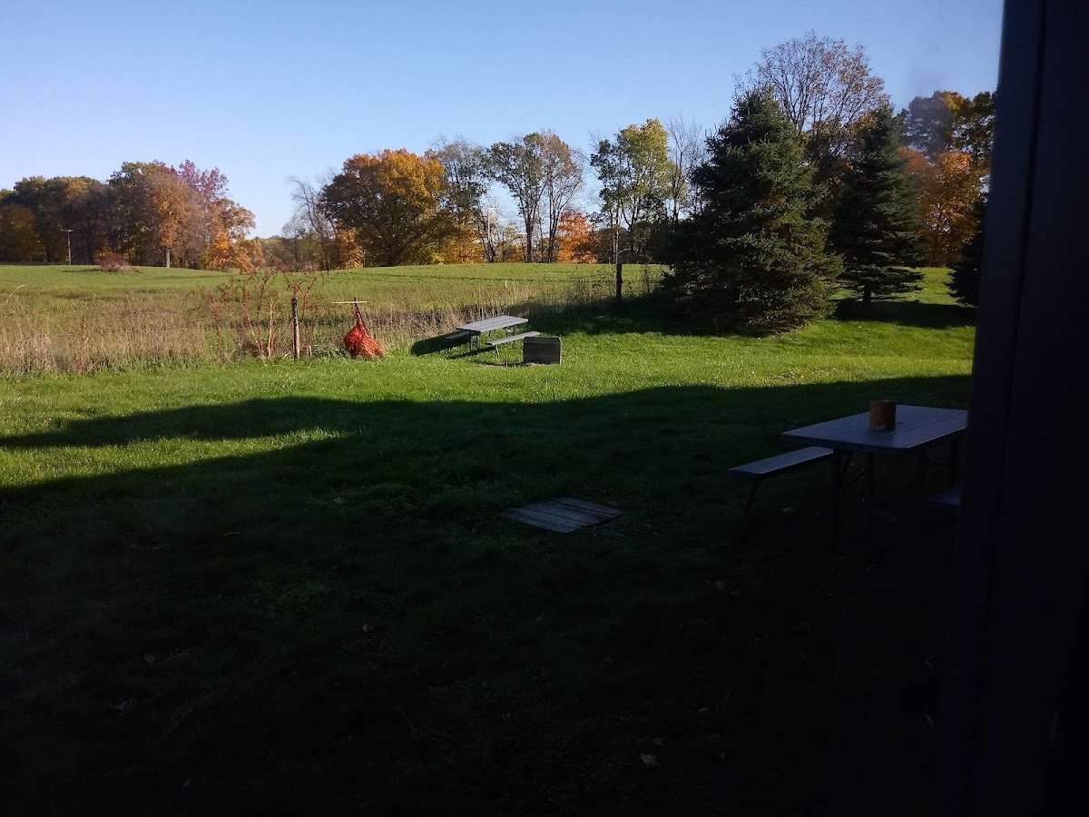 Horn Creek Pub 2 - Photo 3