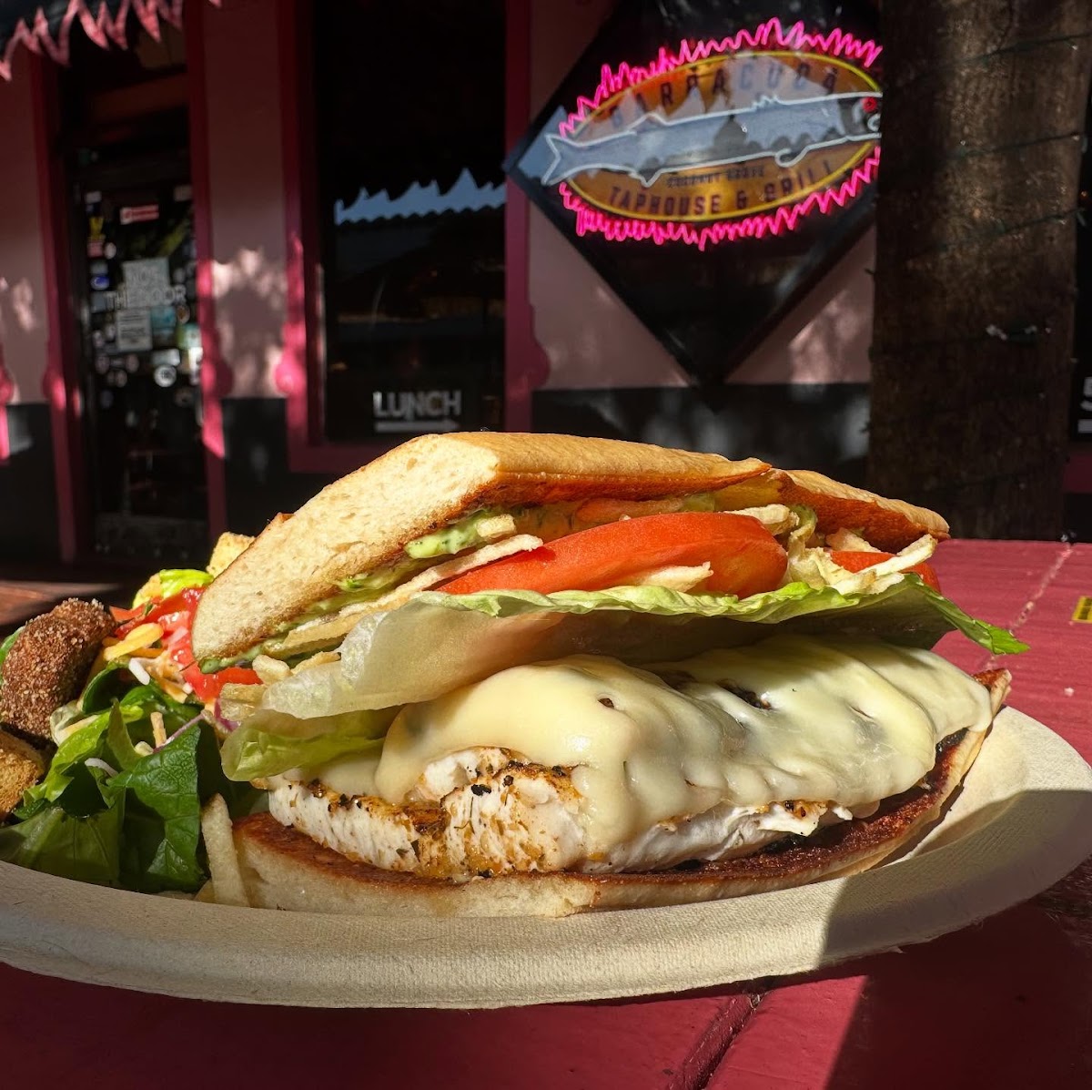 Barracuda Taphouse & Grill - Photo 2