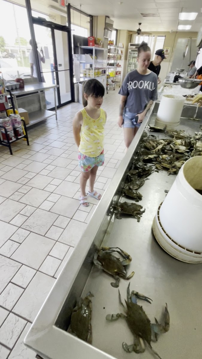 Discount Seafood Market - Photo 1