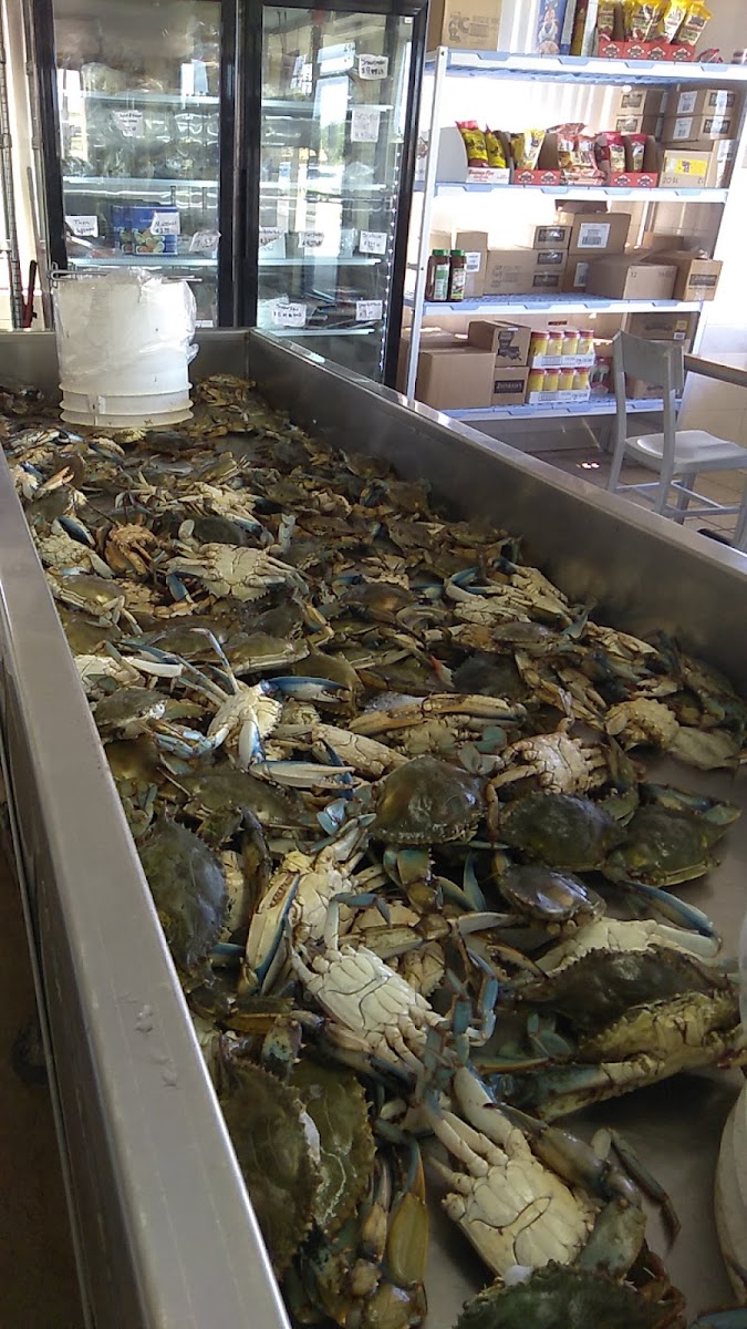 Discount Seafood Market - Photo 2