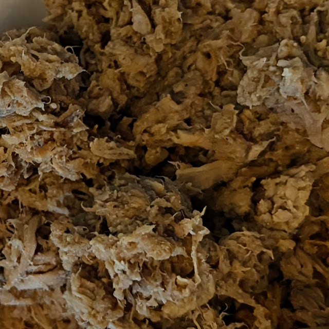 BBQ Pork