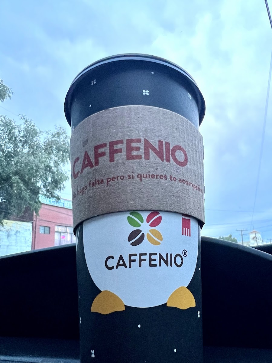 CAFFENIO Elias Calles - Photo 4