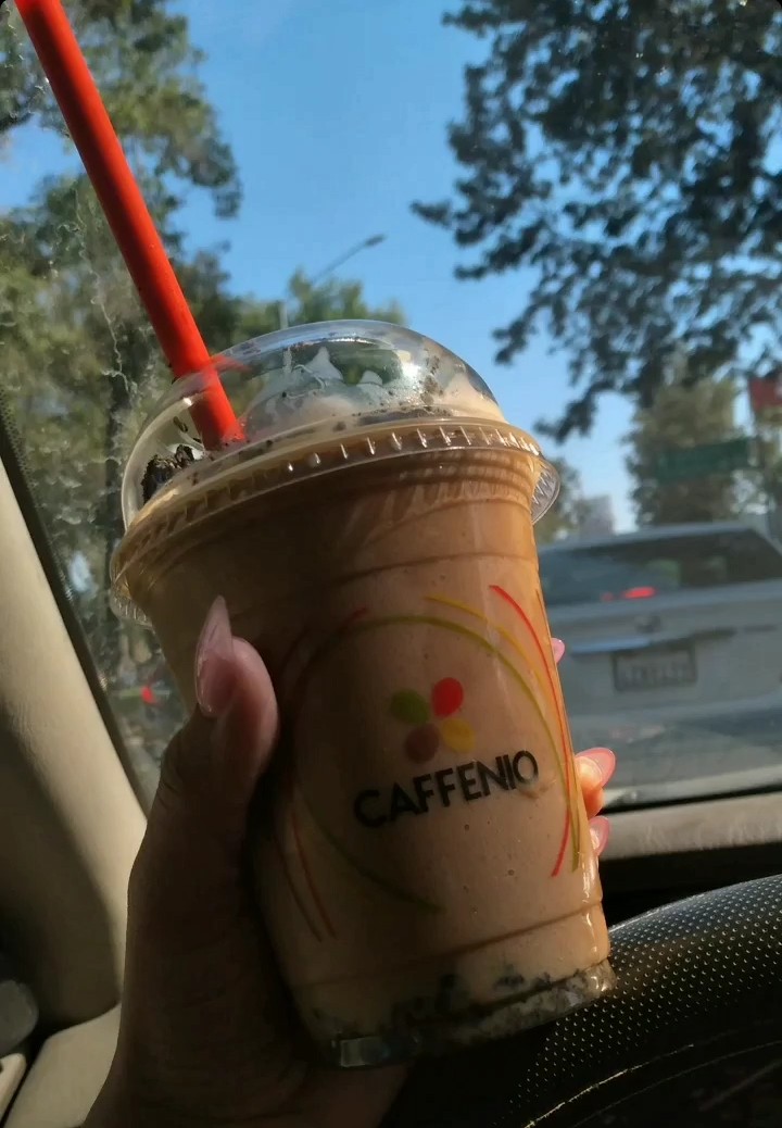 CAFFENIO Elias Calles - Photo 8