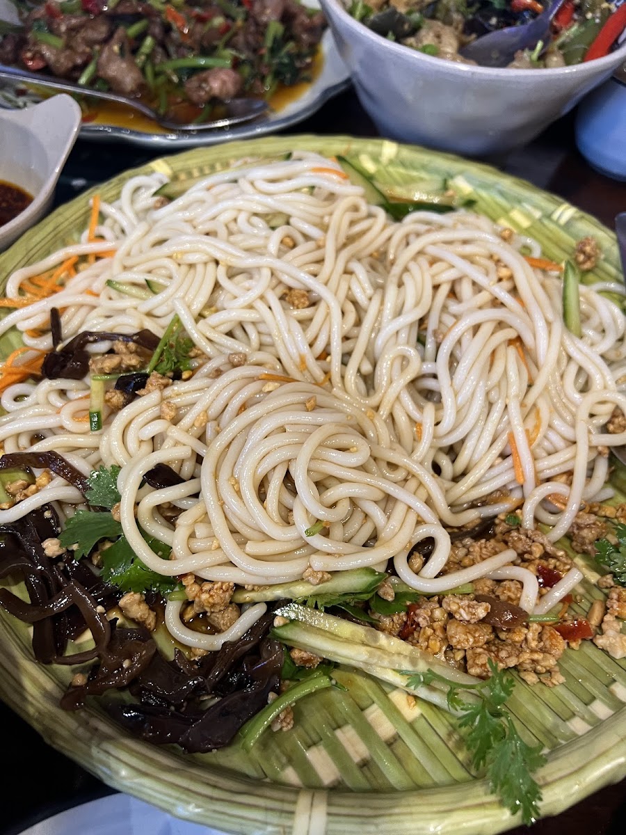 South Silk Road Chinese Restaurant - Photo 8