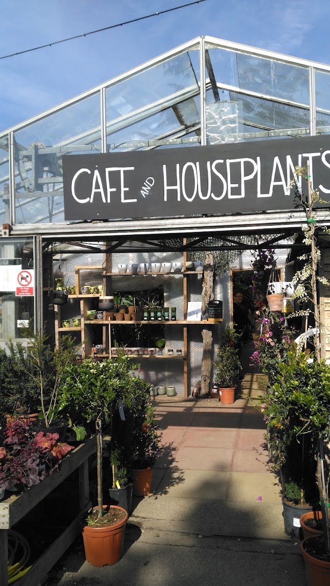 The Cafe at Urban Jungle Norfolk