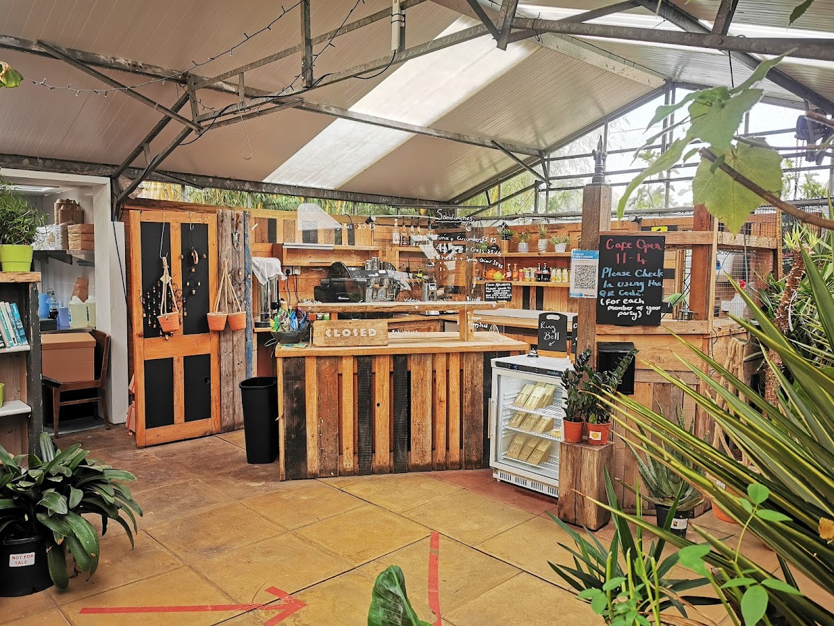The Cafe at Urban Jungle Norfolk - Photo 3