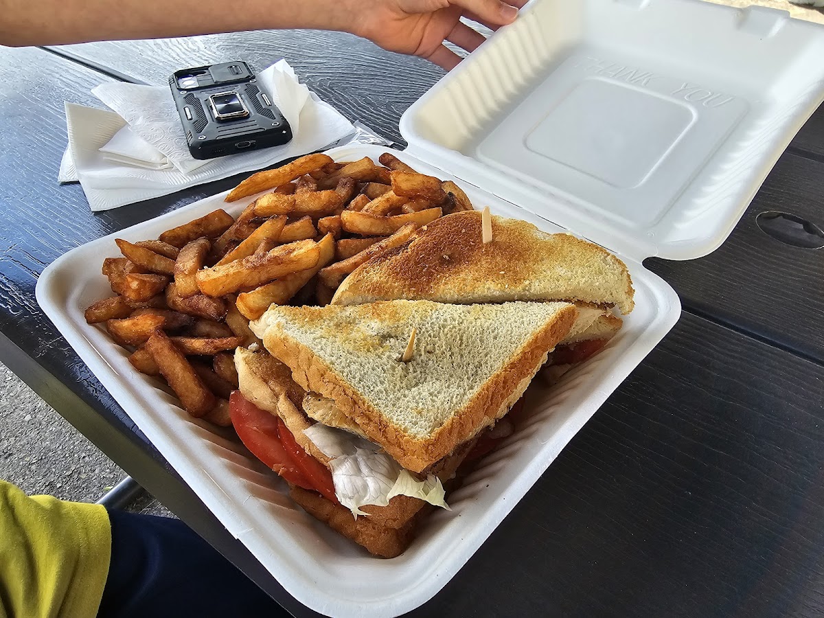 The Shady Coyote Fries & Grill - Photo 6