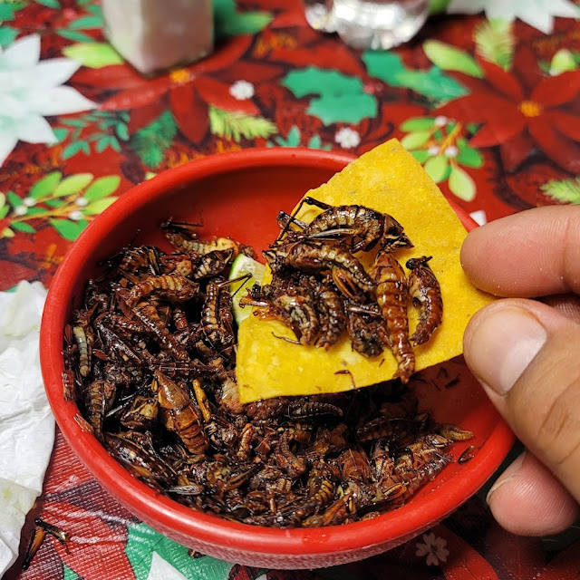 Chapulines