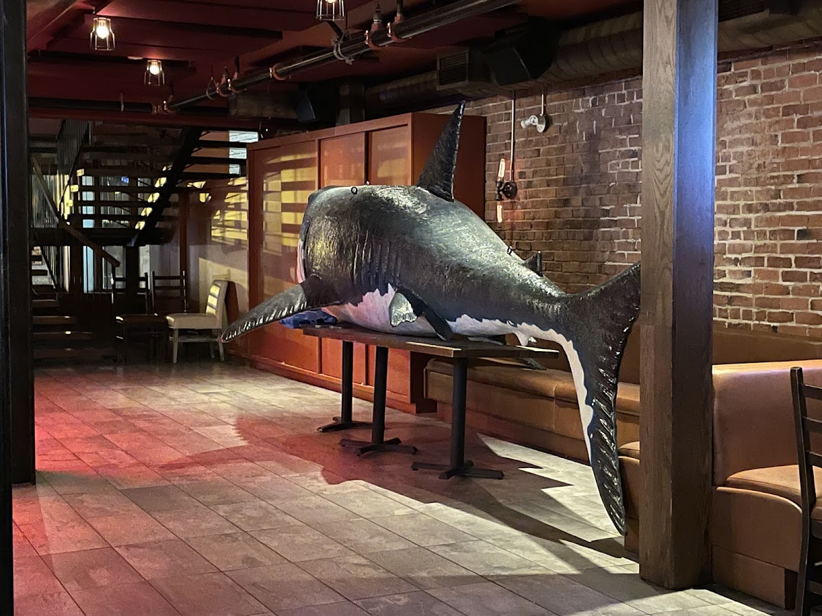 ATIPIK PUB - Photo 2