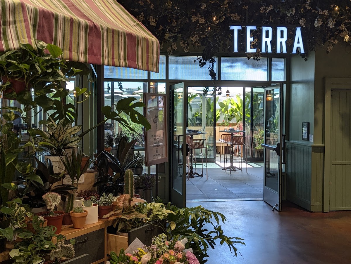 Terra