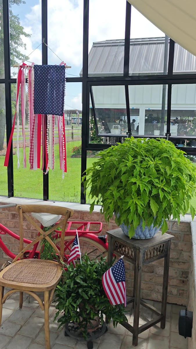 Fancy Girl Farms - Photo 1