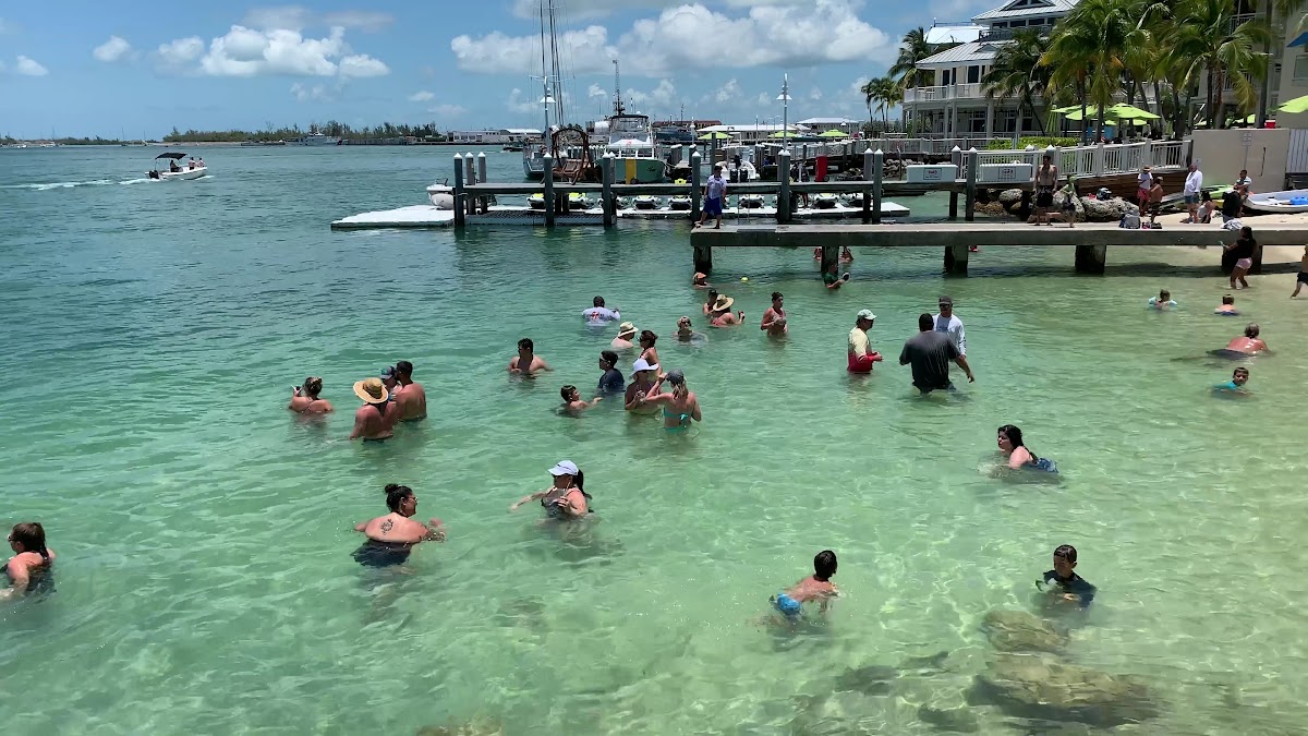 Lagerheads Beach Bar & Watersports - Photo 1