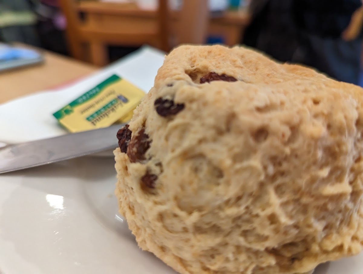 Just Delicious - Photo 4