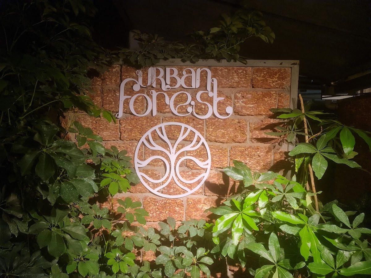 Urban Forest - Photo 9