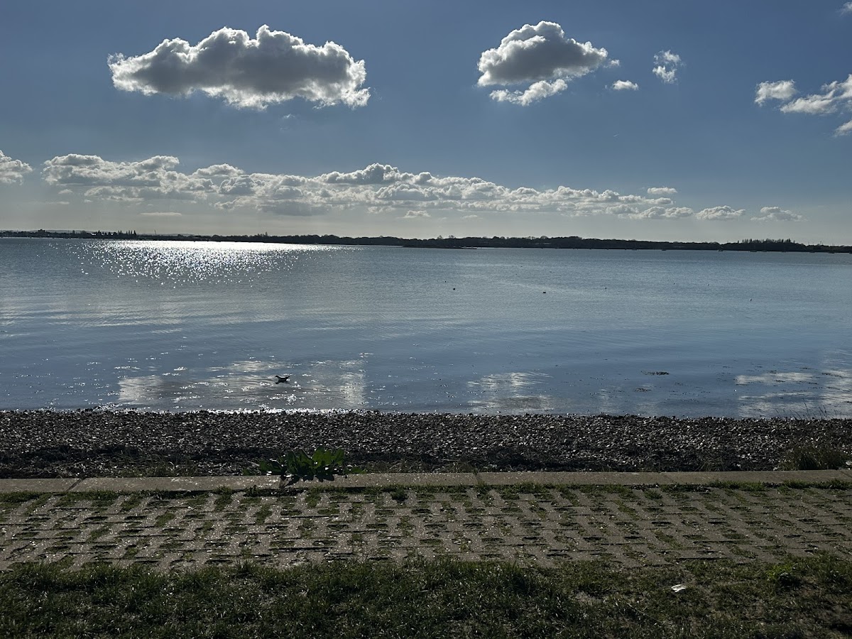 84 by the shore - Photo 2