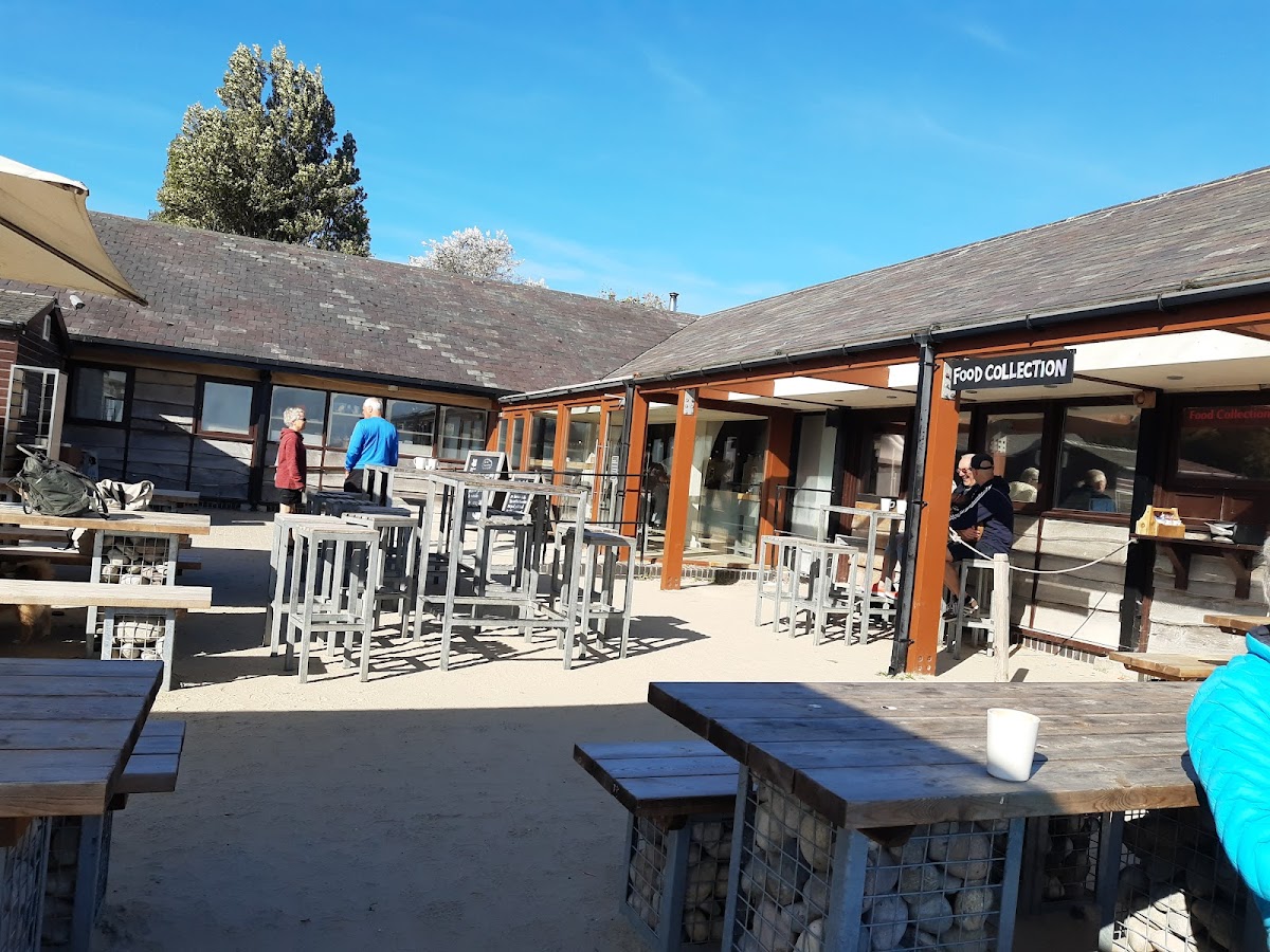 Knoll Beach Cafe - Photo 3