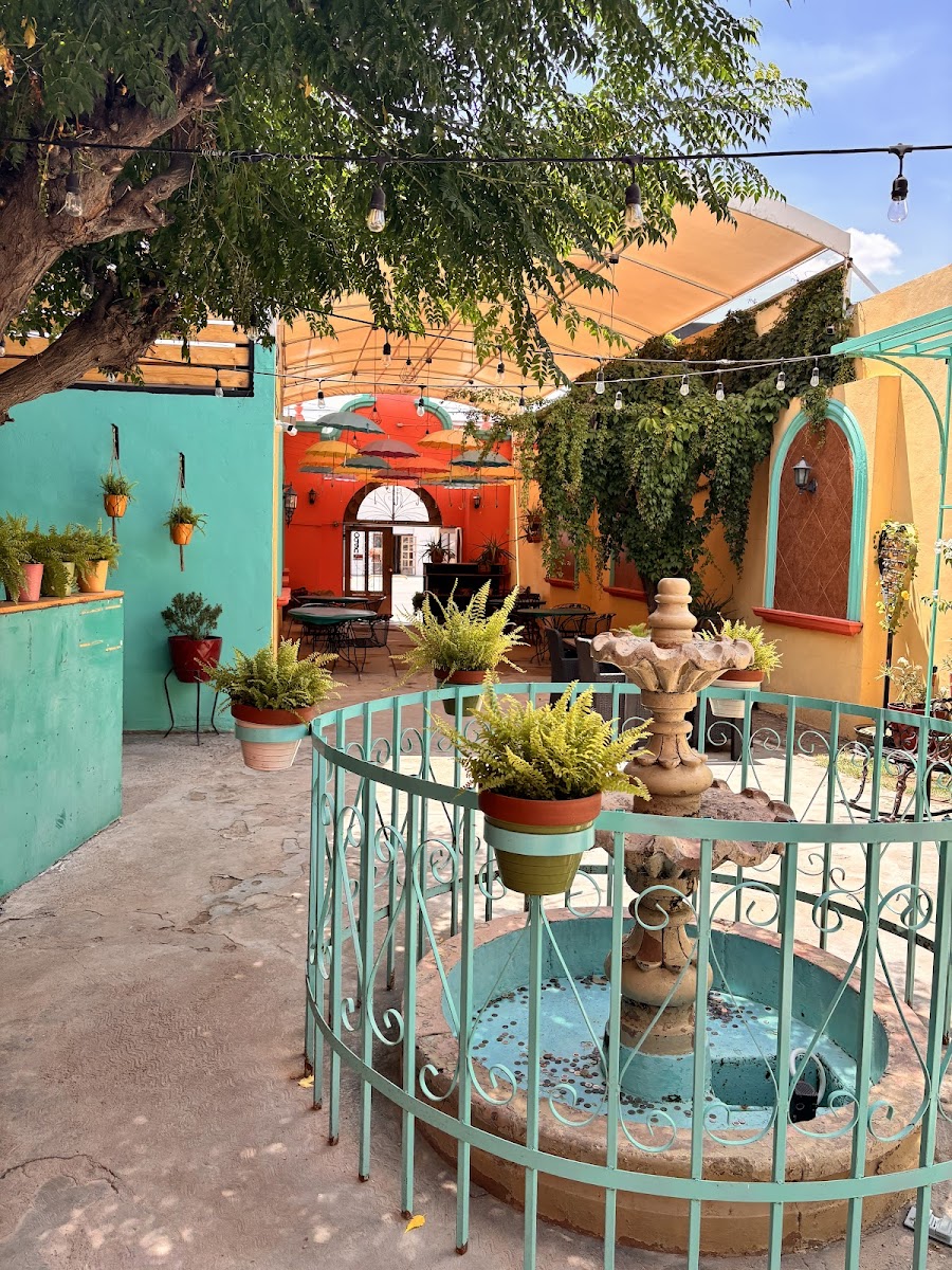 Bizio Café - Photo 2