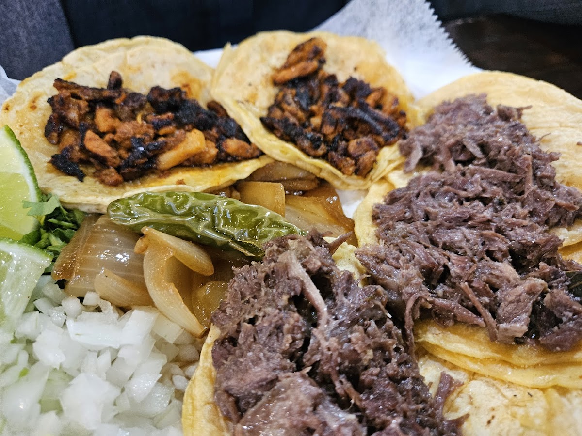 Taqueria DataPoint-#4-Stone Oak Location - Photo 6
