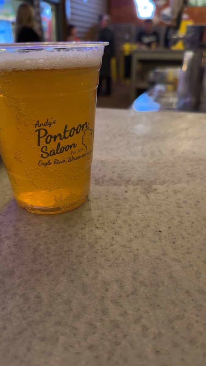 Andy's Pontoon Saloon - Photo 4