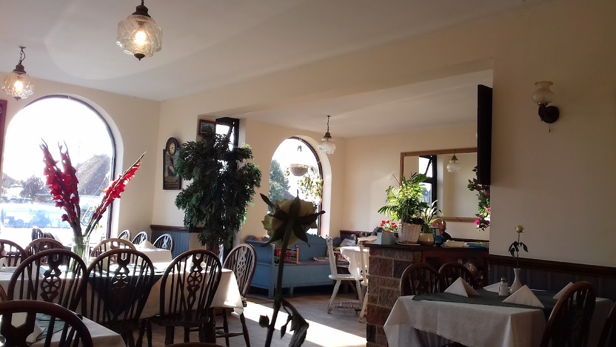 Demetrio’s